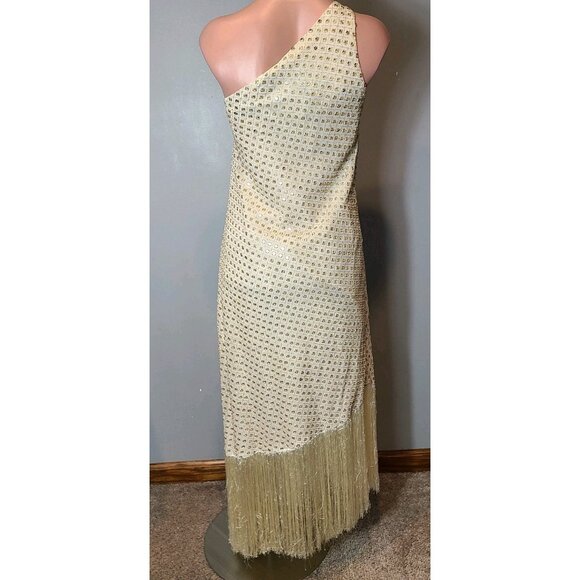 Dash and Dot Mirror Sequin Dress Fringe 1920s Gilded Gold Holiday Wedding New - Picture 6 of 11